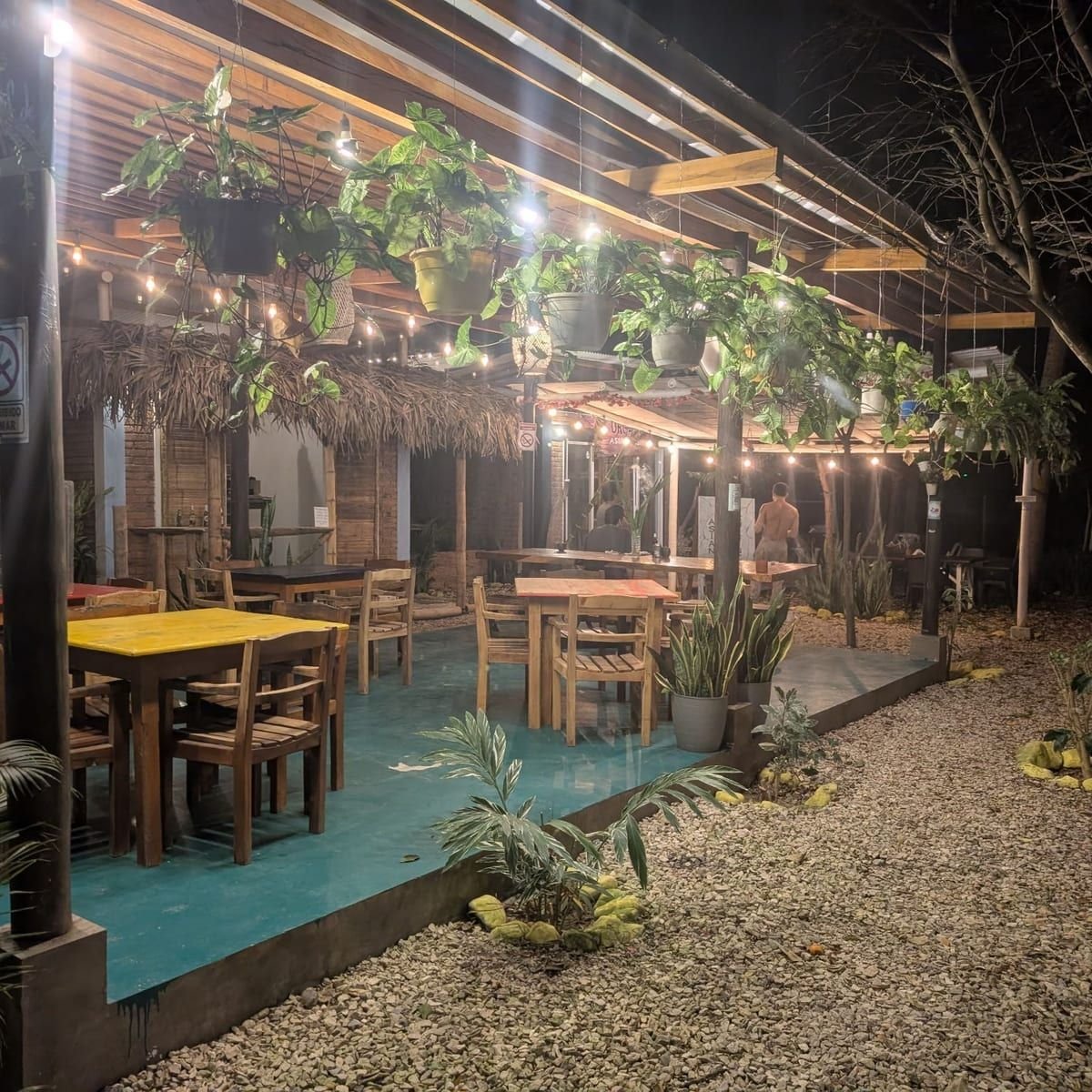 The cantina lit up at night, with hanging plants and string lights over the tables